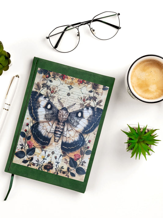 4er Postkarten Set | Motiv: Insekten | Spinne, Käfer, Libelle & Falter